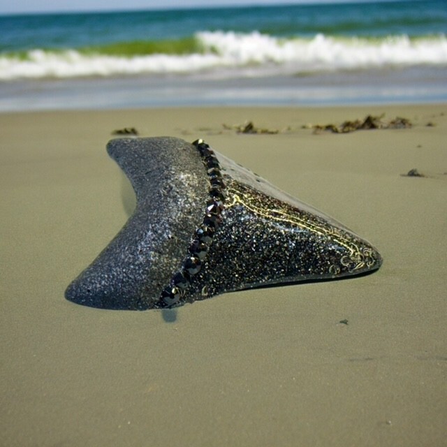 3" Authentic Shark Tooth Silicone Mold For Resin