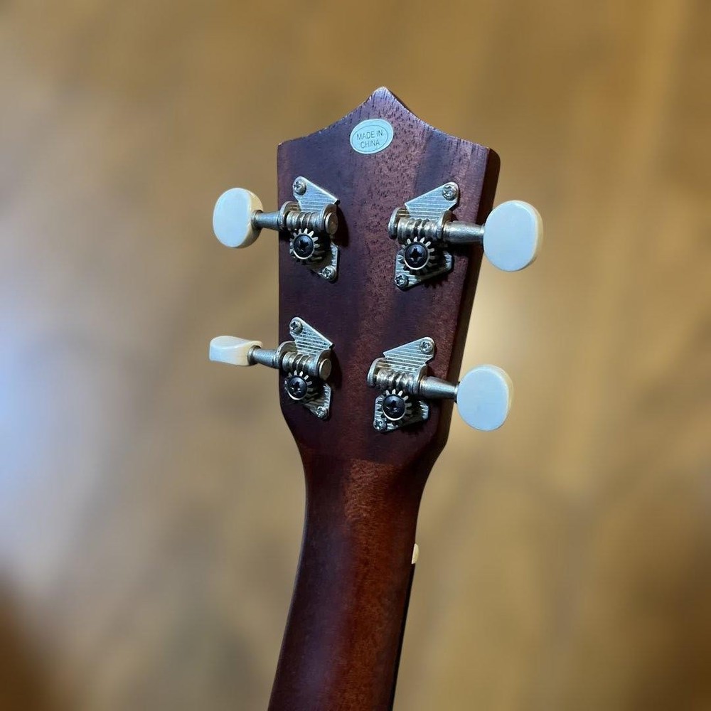 ARIA soprano ukulele with case