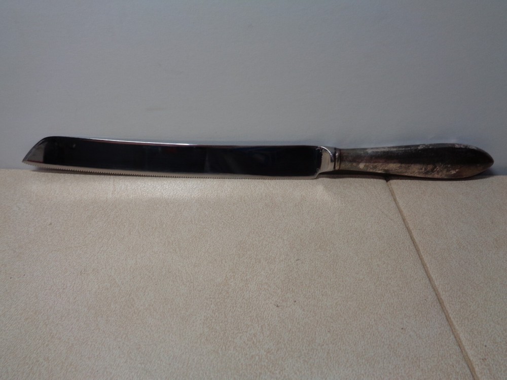 Silver Handle Raimond Sheffield England Cake Knife, Stainless Blade