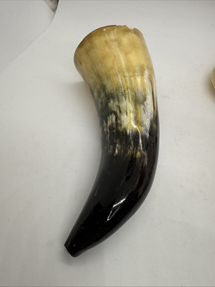 Powder Horn, 6”