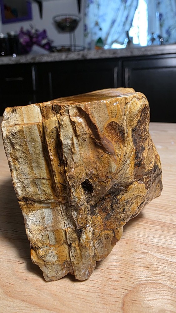 owyhee picture jasper