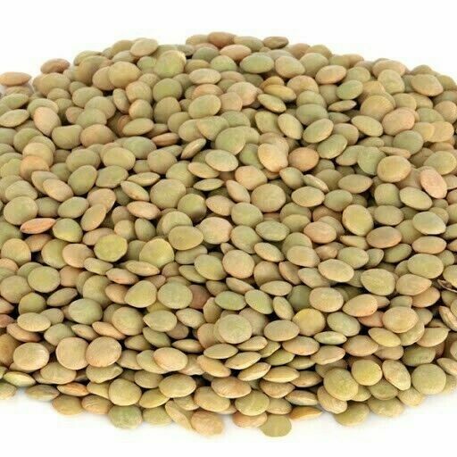 GREEN LENTILS BEANS