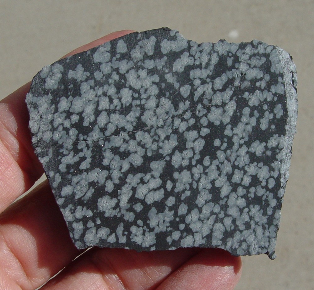 Snowflake Obsidian Lapidary Slab T1355