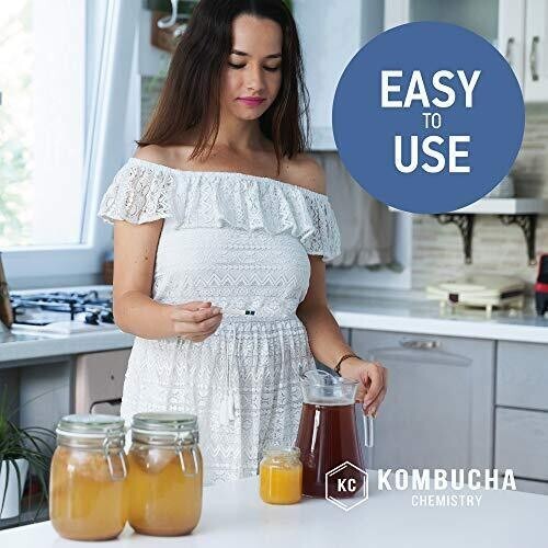 Ph Test Strips For Kombucha Brewing 06 0.5 Intervals 100pc Kit