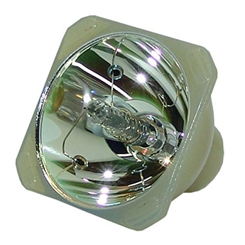 Jaspertronics™ Original Lamp & Housing - 3D Perception CompactView-SX+21
