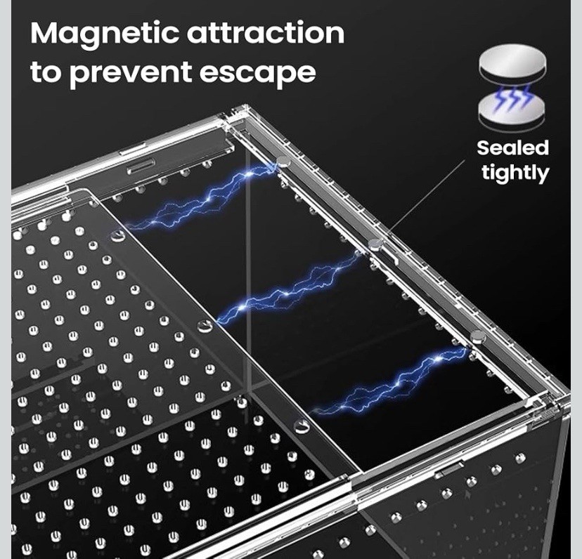 Jumping Spider Habitat