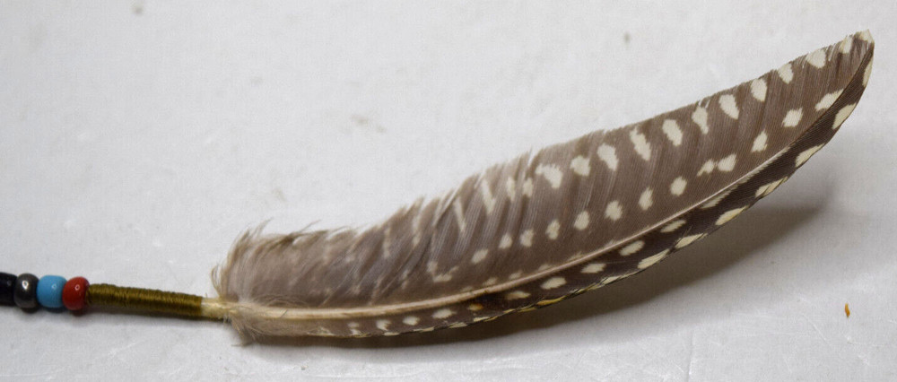 Feather (unknown) Earring Handmade