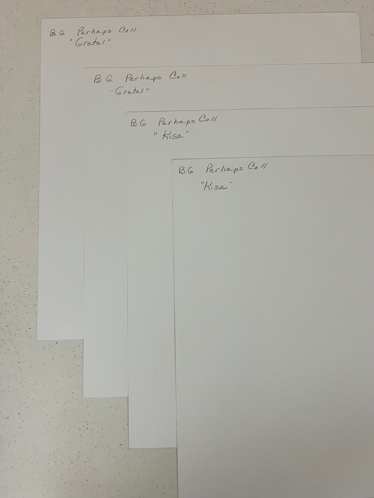 Basic Grey Perhaps 14 Sheets 12"x12", Stickers, Die Cut Alphas & Tags - READ