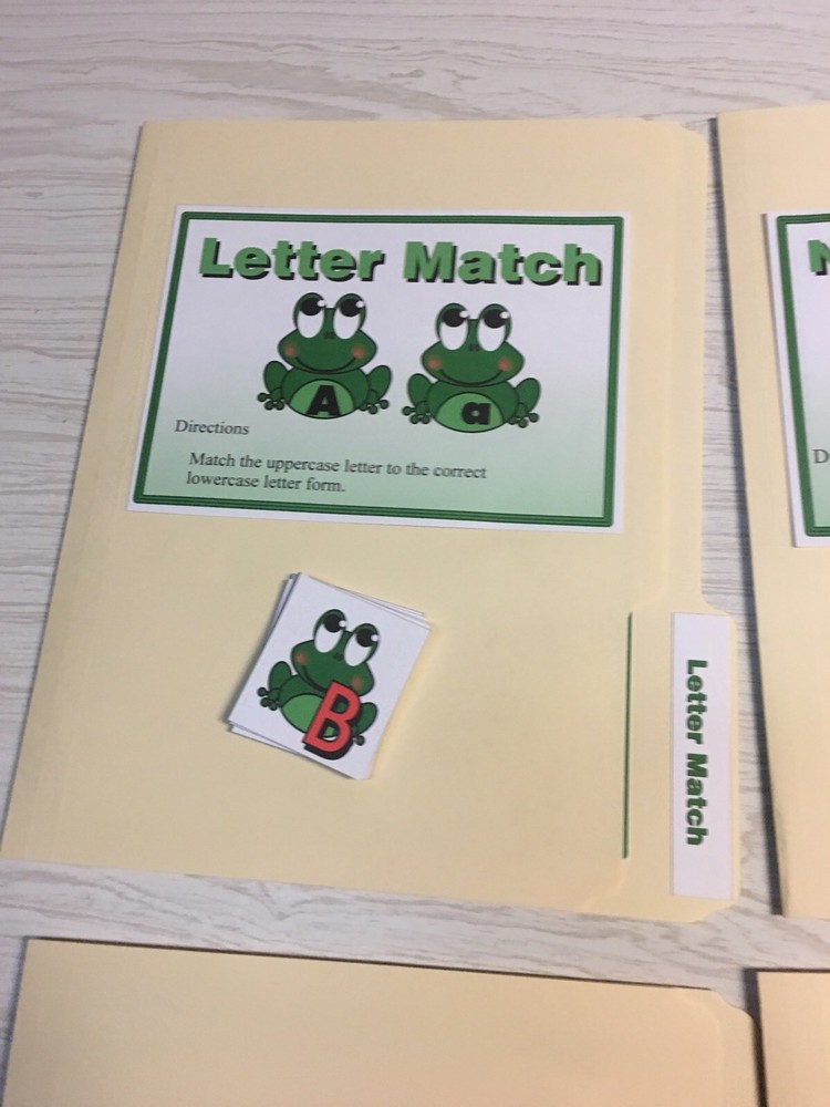 10 File Folder Set - Teaching READING MATH -Froggy Kit