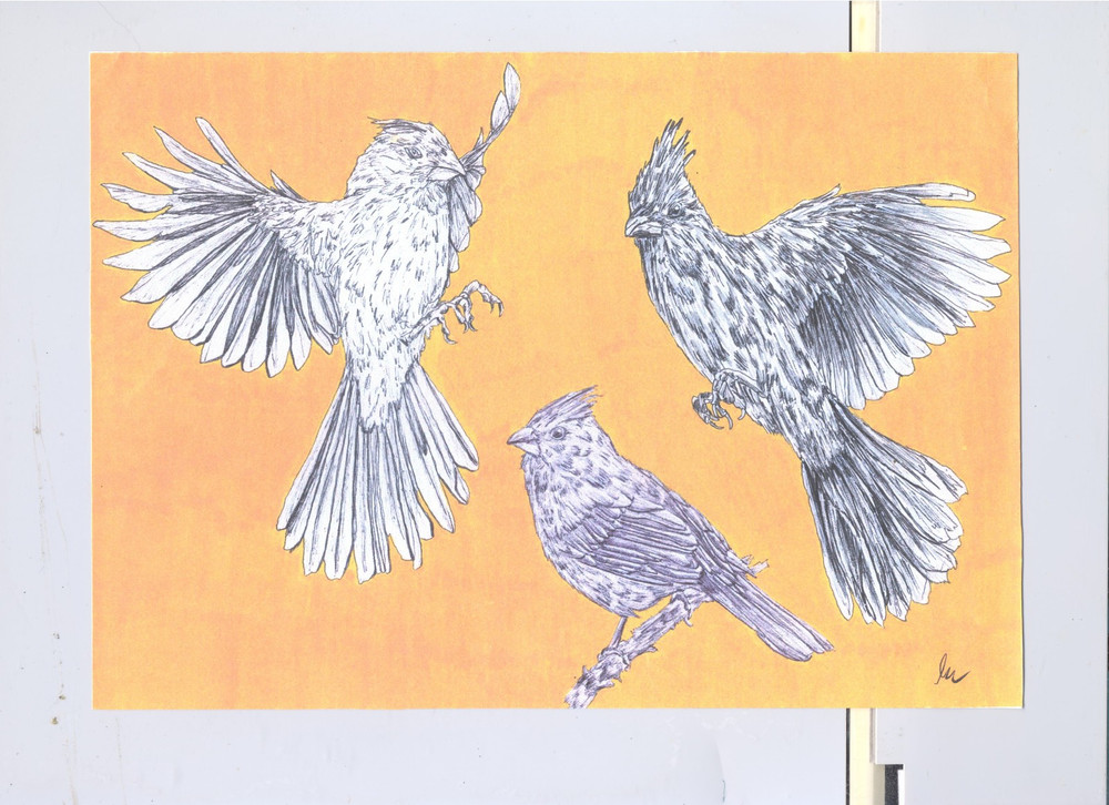 HP Hewlett Packard ScanJet 5590 Flatbed Scanner, Tested Working