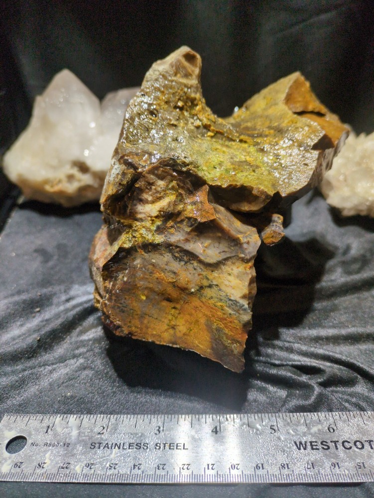 Biggs Jasper Specimen w/ Dendric Natural Form (7lbs 12oz)