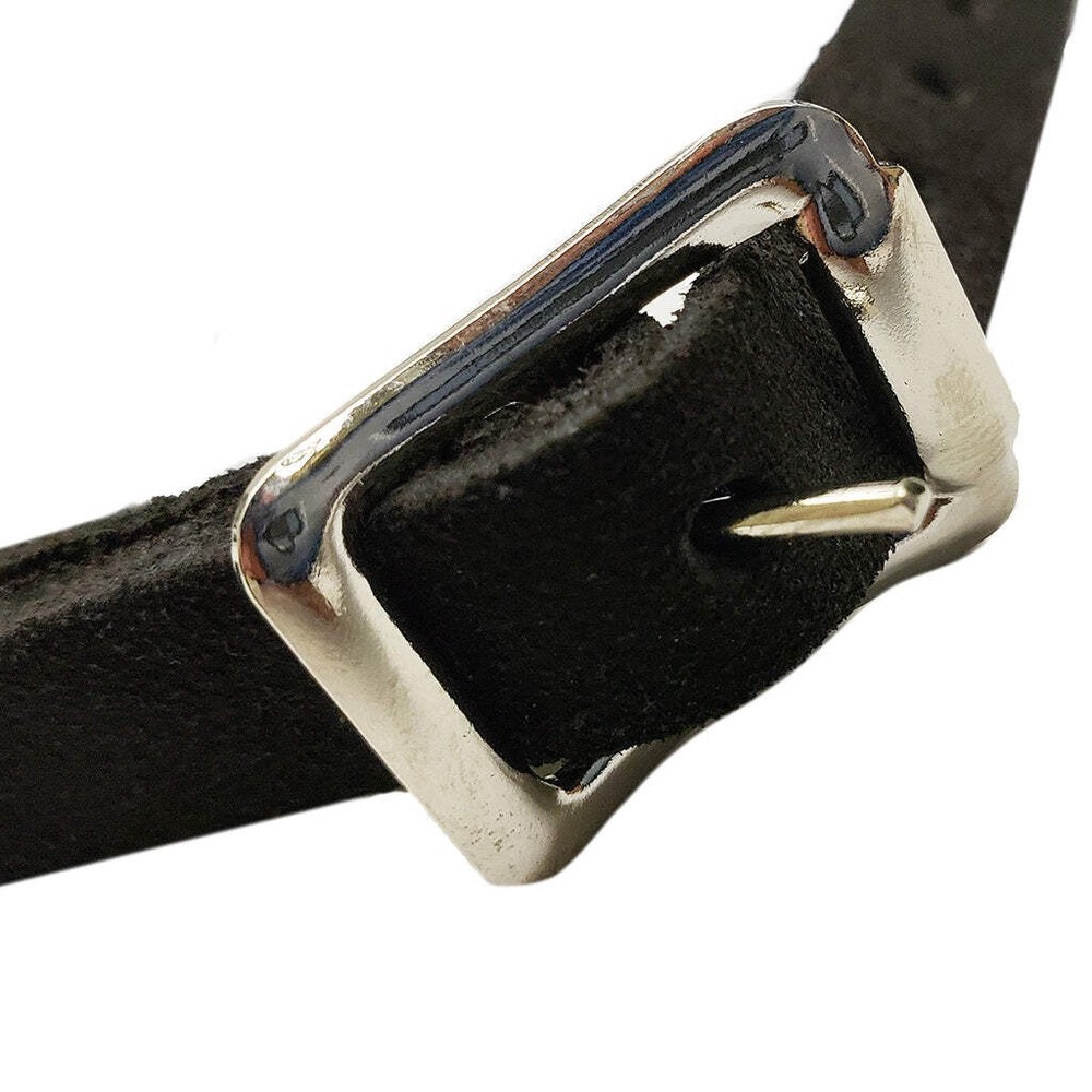 Leather Pheasant Harness