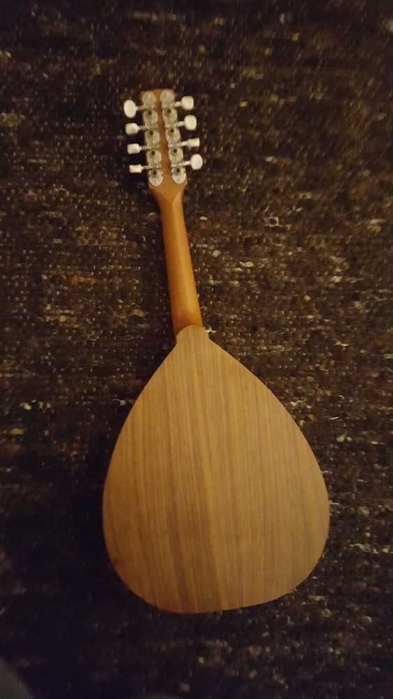 Big Muddy Mandolin MW-0 with Bag