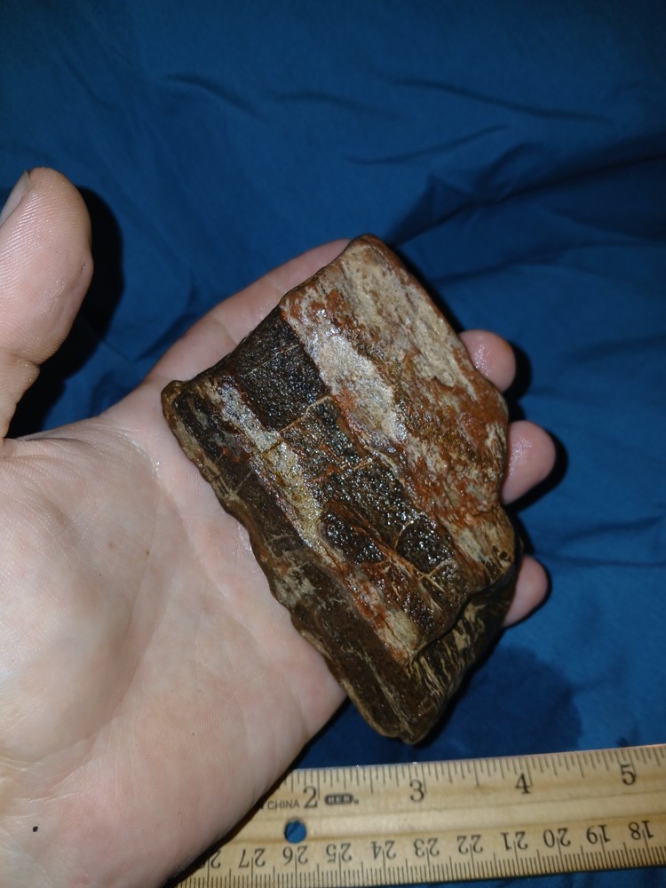 11 oz Petrified Wood