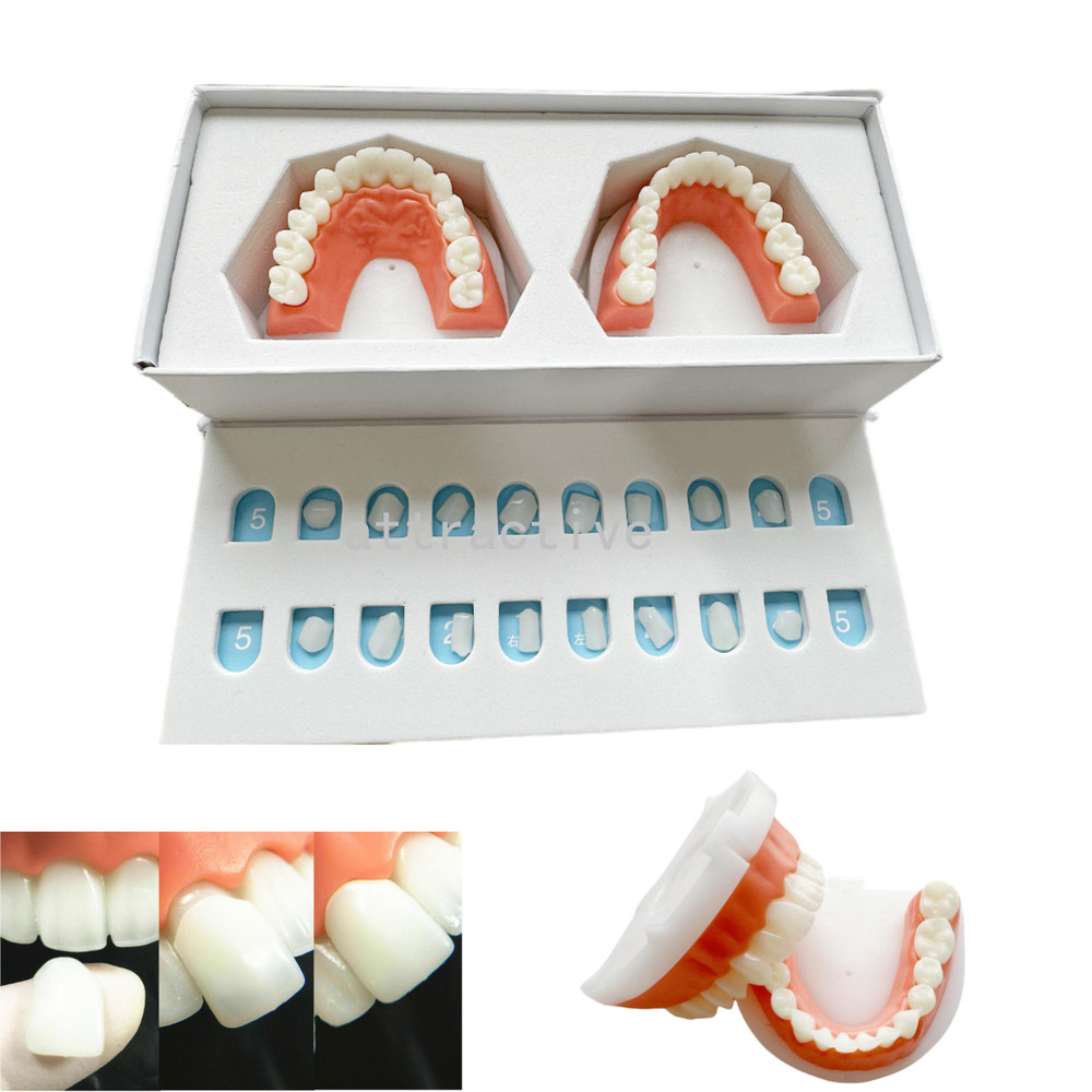 Dental Composite Veneer Template Model Practise Veneers Dentist Teaching 1Set