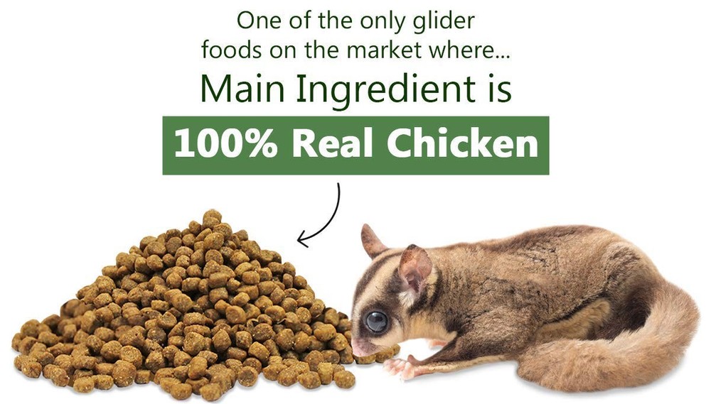 Glider Essential 1.75 lb | Coconut Flavor | Zero Fillers…