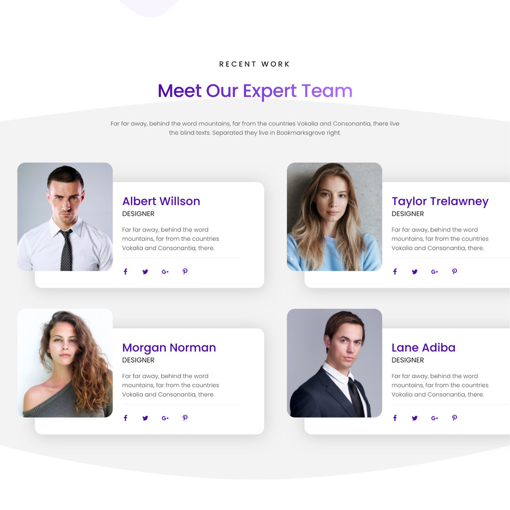 Internet Business Website Design with Free VPS Web Hosting and Installation
