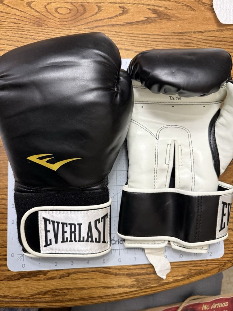 Everlast Boxing TA-16 Gloves