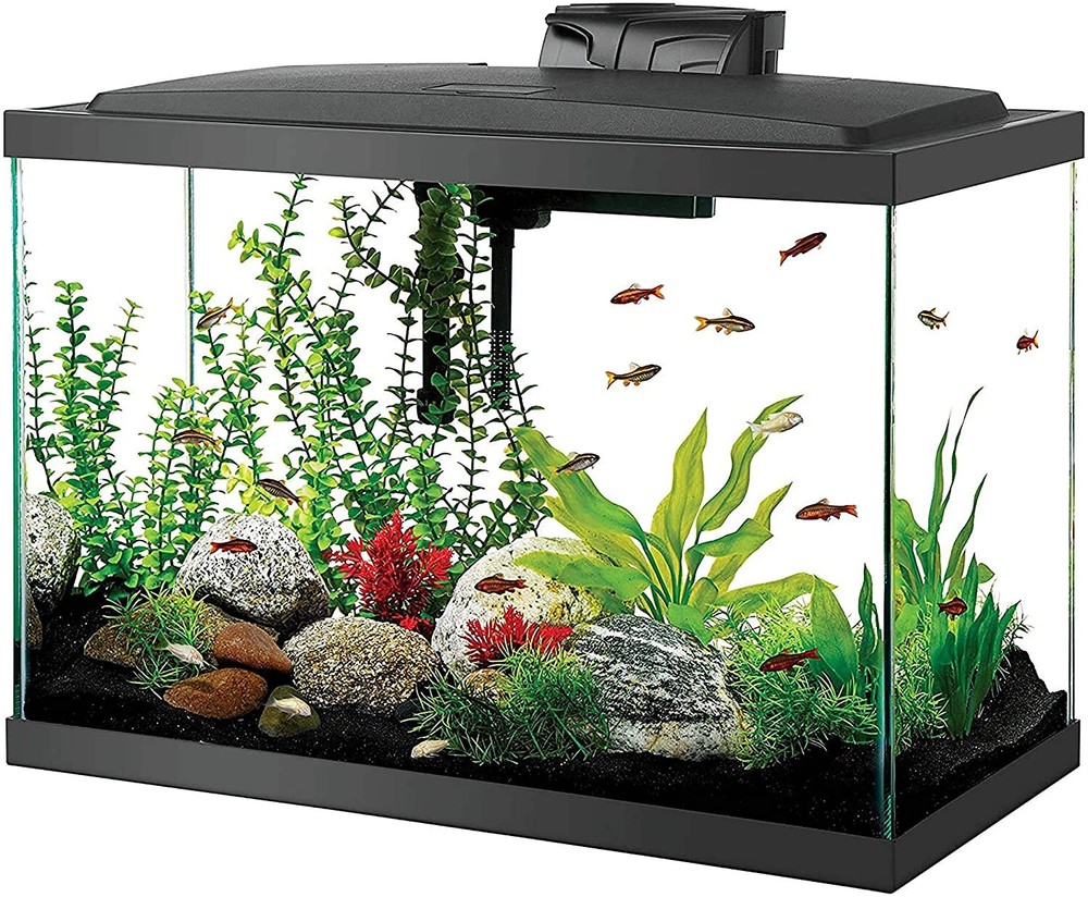 Aqueon Aquarium Starter Kit with LED Lighting (20 gal)