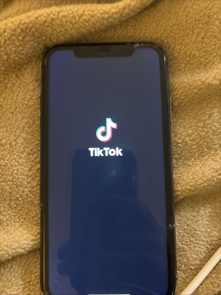 TIK TOK APP DOWNLOADED