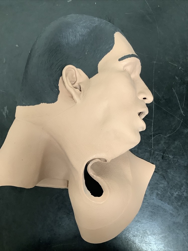 CAE MÉTI Head and Face Skin