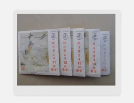 B Guzheng string standard strings Germany with steel core 11-15 sets strings