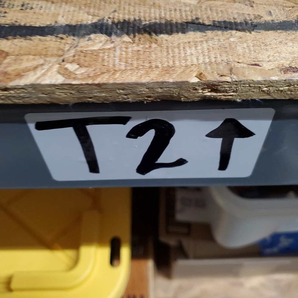 Vintage (1960s era) NIM Linear Inverting Amplifier Module |Gain Control