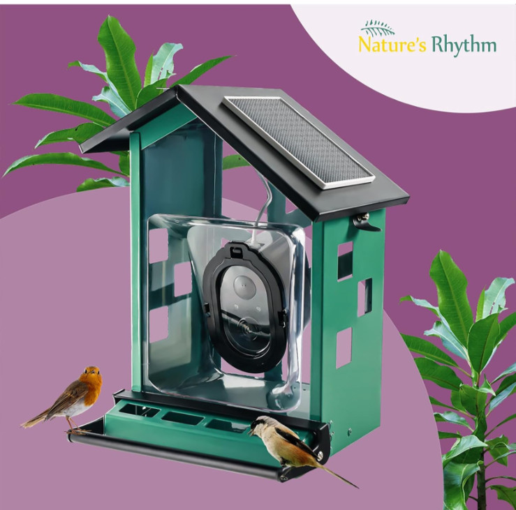 Bird Feeder Squirrel-Proof Bird Feeder With camera/ +EXTRA CAMERA/READ