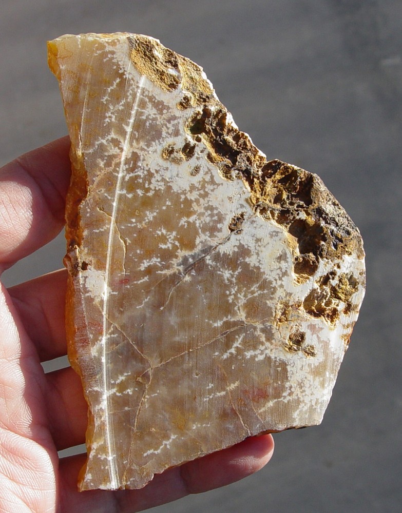 Graveyard Point Plume Agate Lapidary Slab T1026