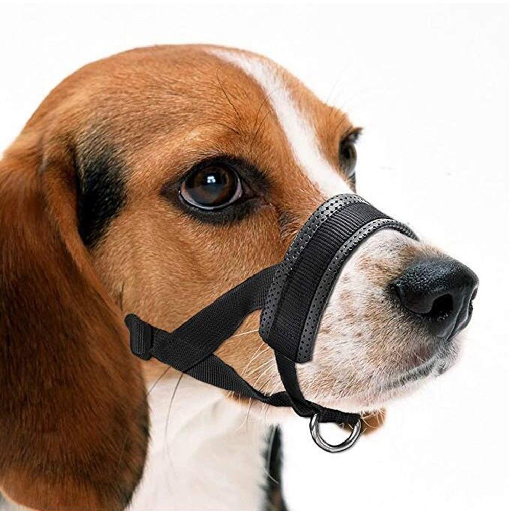 Dog Muzzle,Soft Nylon Muzzle Anti Biting Barking Chewing,Air Mesh Breathable