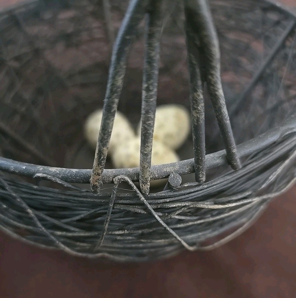VTG Decorative Easter Egg Wire Basket Eggs - Spring Farmhouse