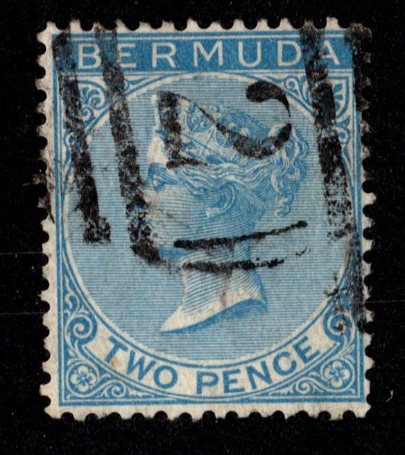 Bermuda Scott 2 Used.