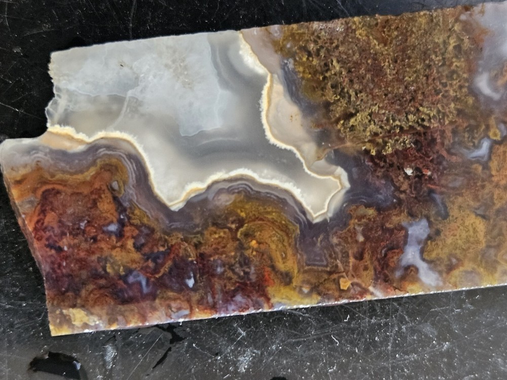 Agate Lapidary Slab With Moss