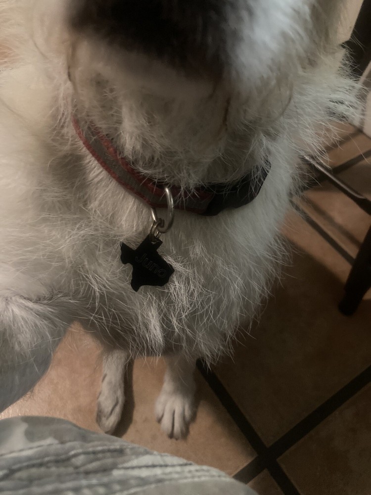 Pet Tags Texas Shape Aluminum