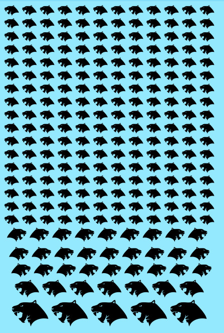 A6 - Black Jaguars Transfer Sheet