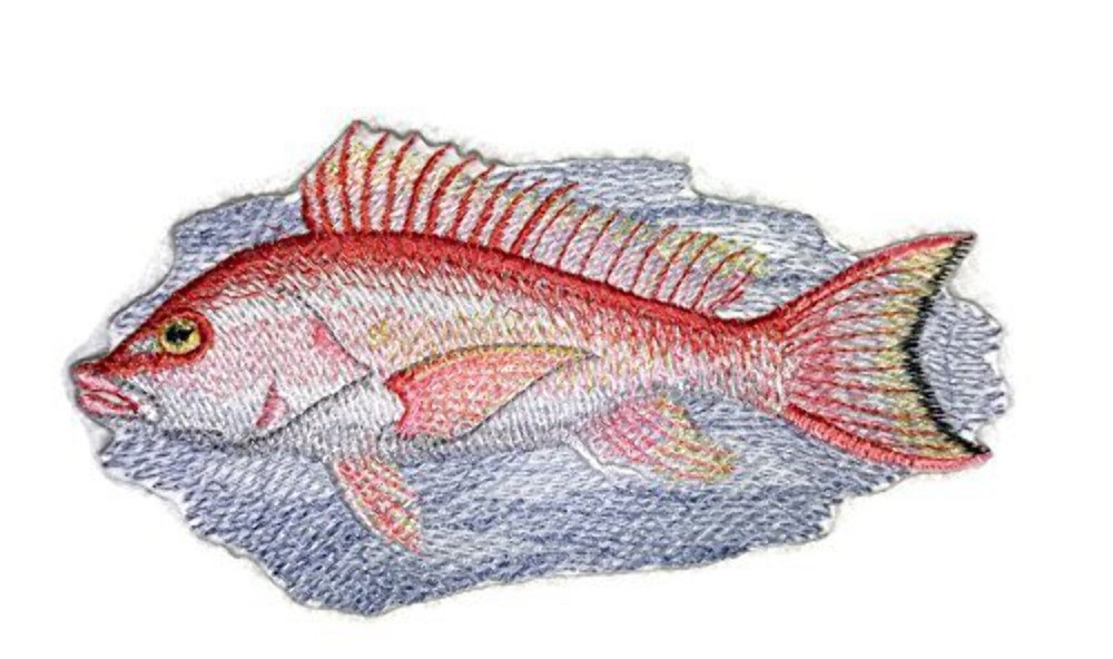 BeyondVision Nature's Bounty Beautiful Custom Fish Portraits [ Red Snapper Fish