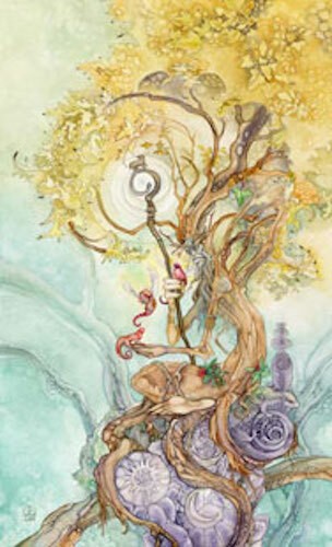 Shadowscapes Tarot Card Deck!
