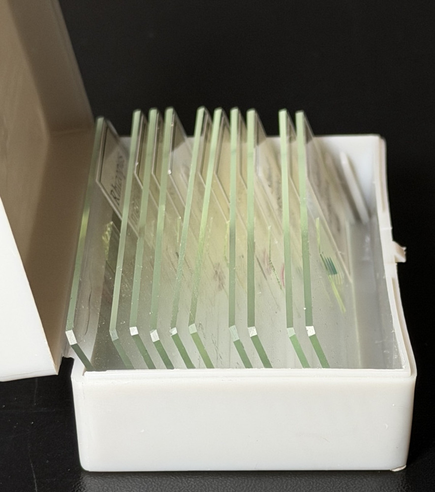 10 PC/Set Biology Sample Specimens Microscope Prepared Specimens Slides Student
