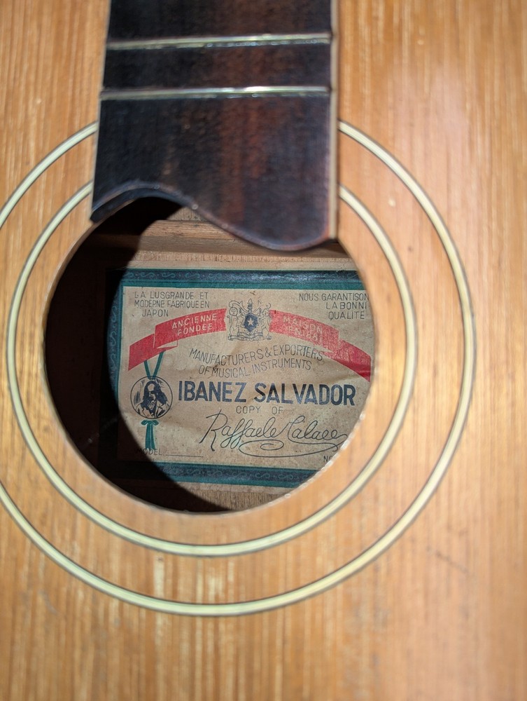 Ibanez Salvador
