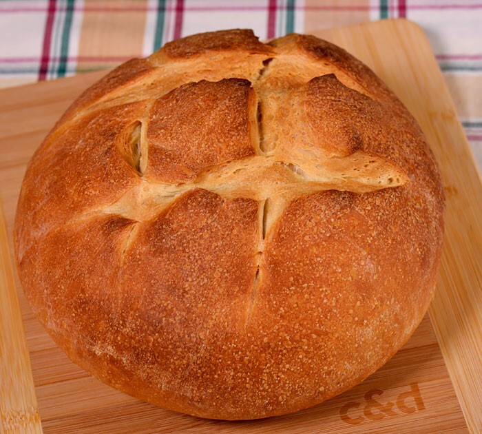Sourdough Starter Dehydrated - San Francisco - 15 Gram Bag