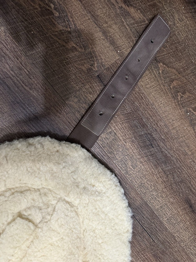 Horse Tack - Toklat Bareback Pad
