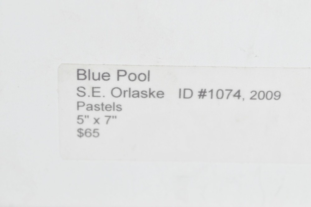 Soft pastel on paper, “Blue Pool”, Sue E. Orlaske, 2009.
