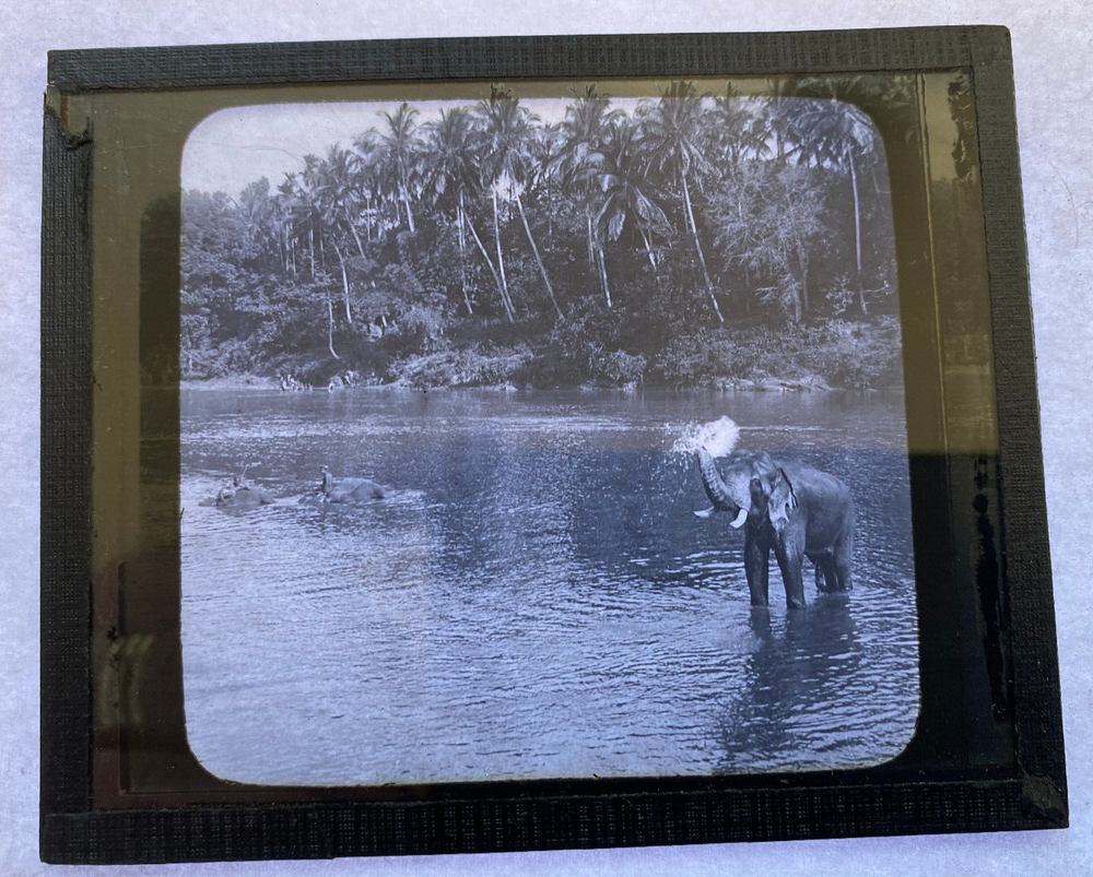 KEYSTONE MAGIC LANTERN SLIDE 93 ELEPHANTS BATHING IN STREAM CEYLON 1920s