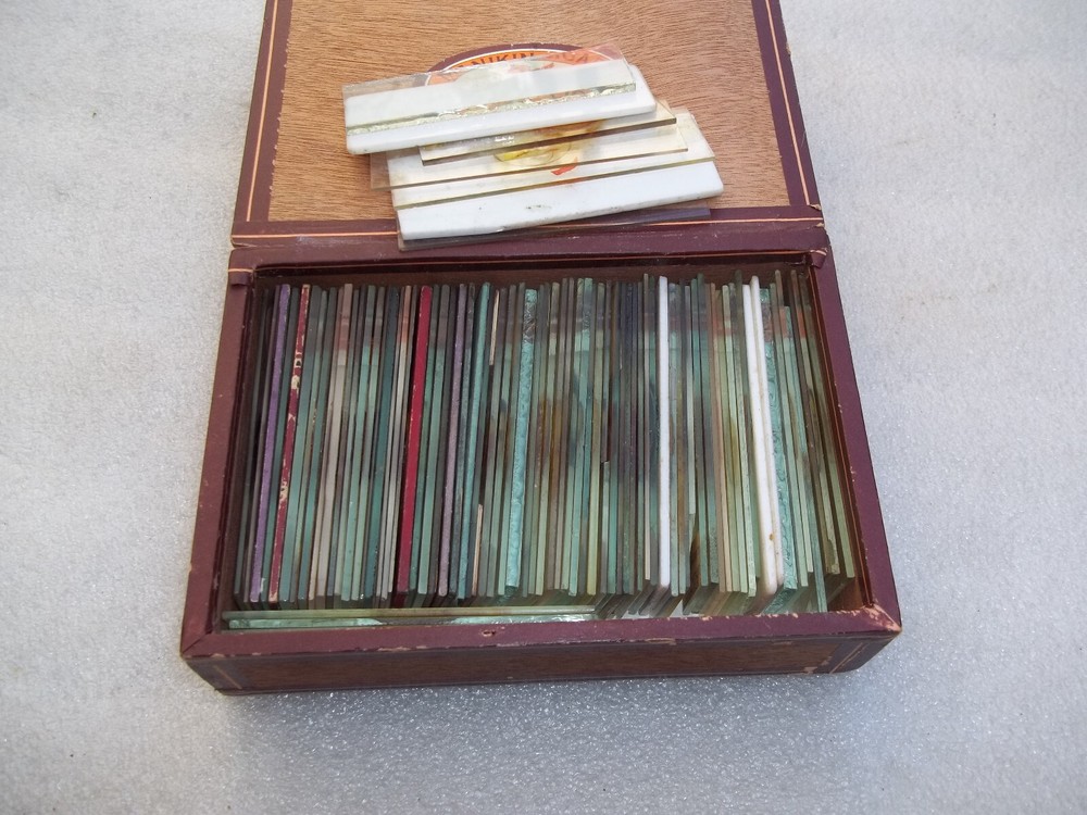 Antique Victorian Glass Microscope Slides