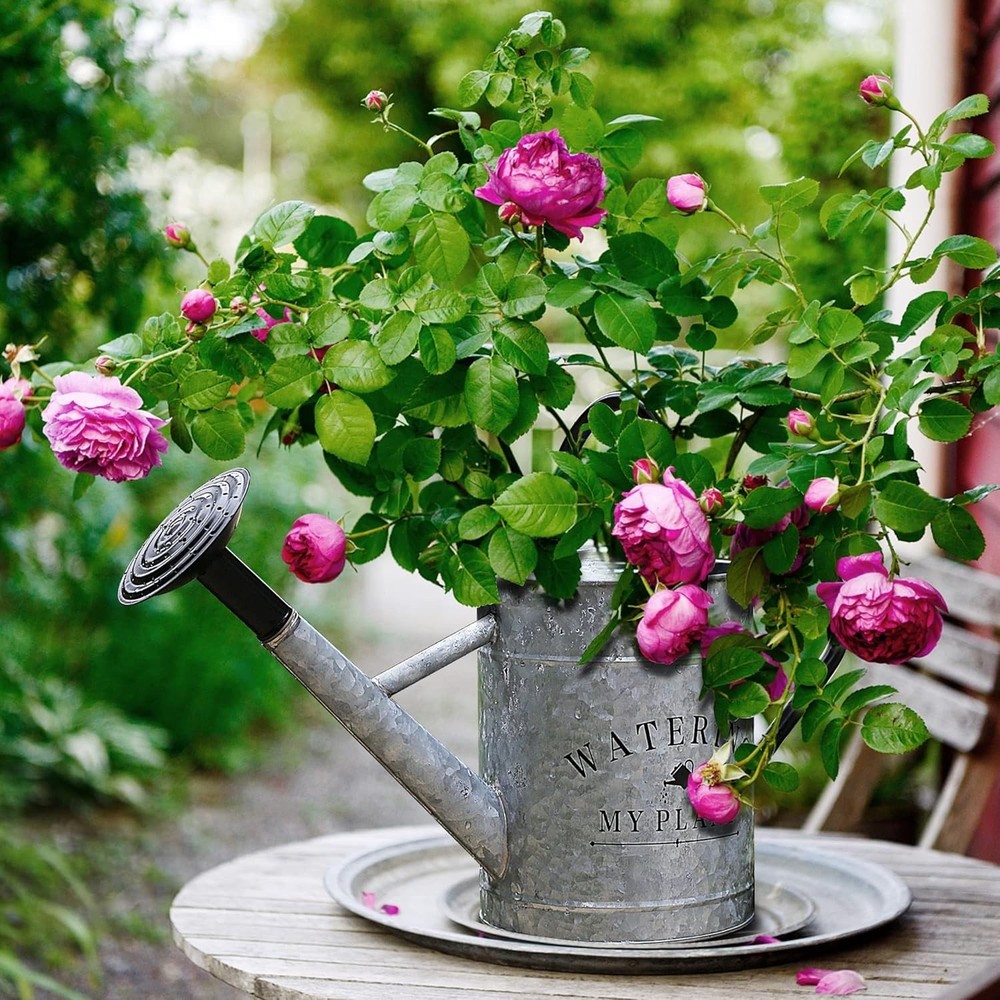Watering Can