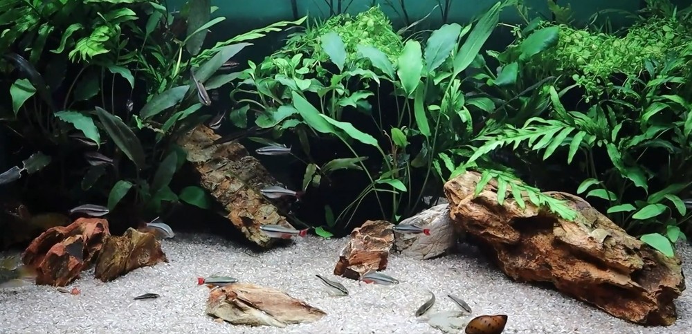 Modular Planter for Planted Tanks | TRIO Modular System (3 Tier Unit)