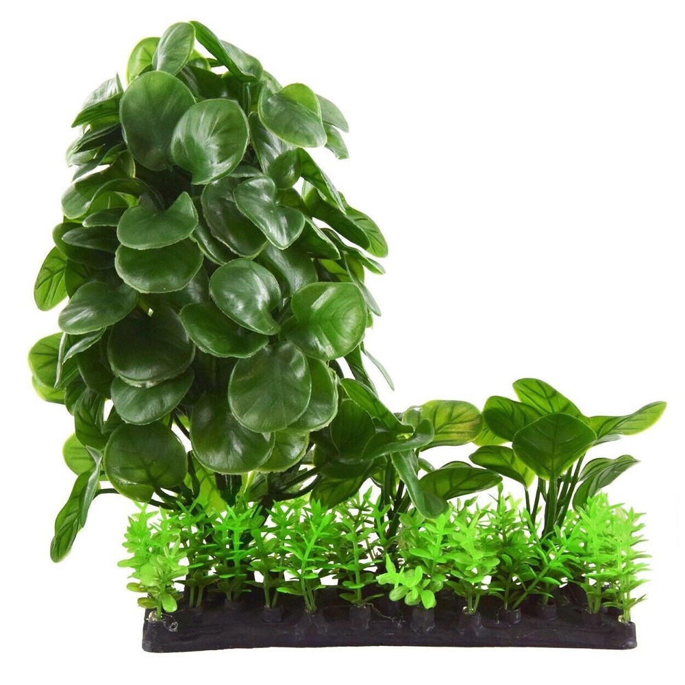 RA Underwater Treasures Calathea Mound