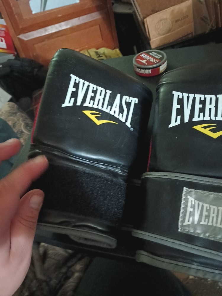 Size 7 Everlast Gloves