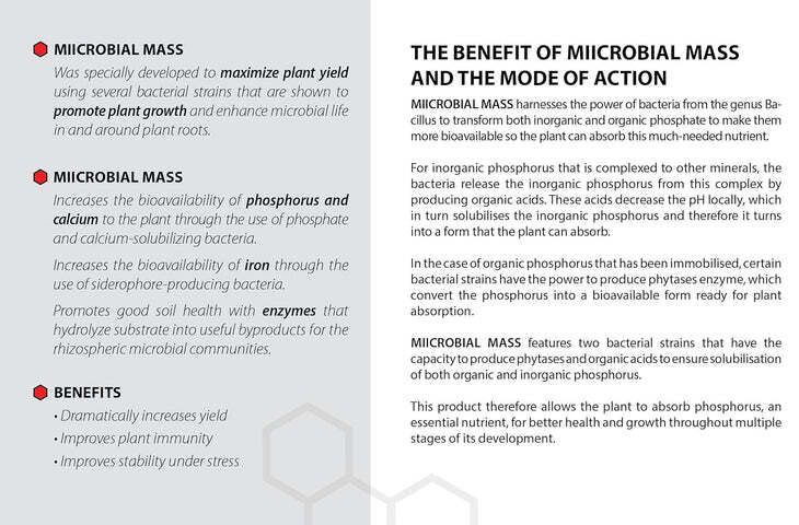 Miicrobial Mass Pro MIIM - Beneficial Bacteria Microbial Enhancer