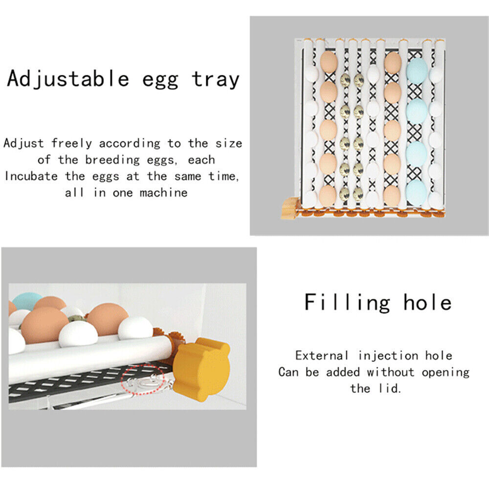 36 Eggs Incubator Chicken Incubators for Hatching Quail Automatic Egg Turning